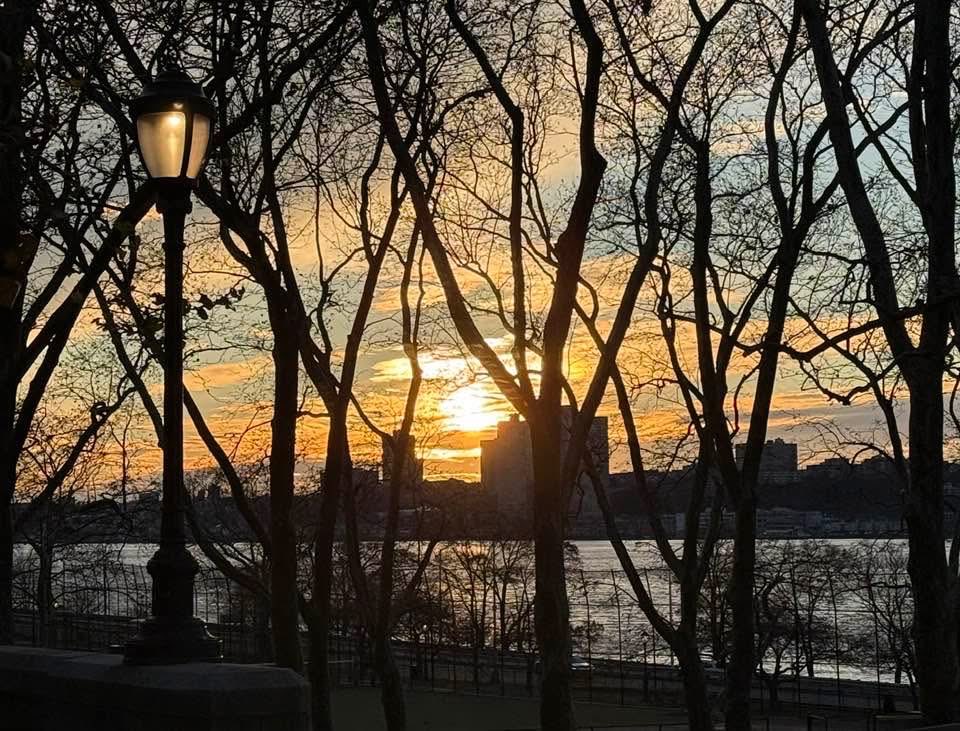 Katalin Pota ☮️☮️☮️ tweet media