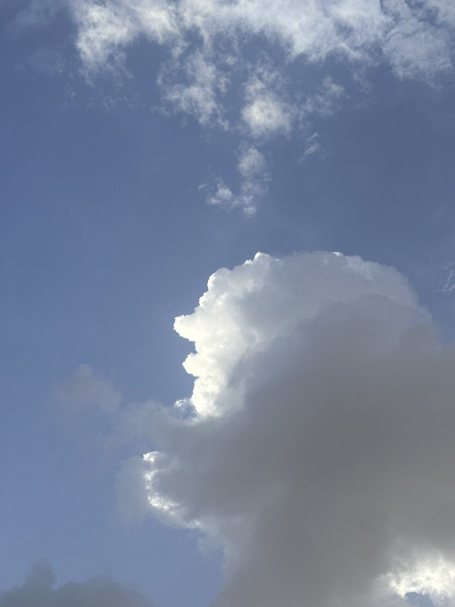 سعود التميمي | Physical Therapy tweet media