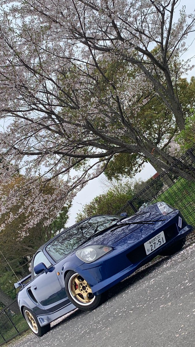 🩵れぐ🐇 tweet media