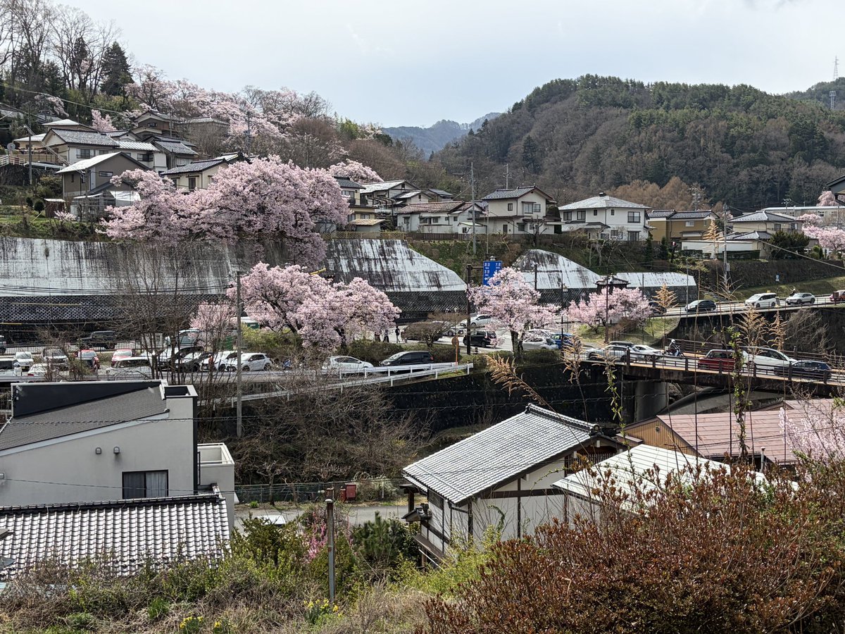 のん@バイク女史部No.900s tweet media