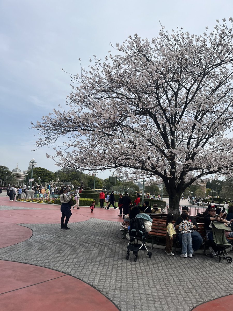 さざなみ tweet media