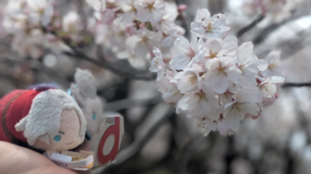 ふらふら tweet media