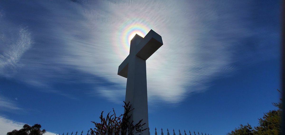 Brick Suit tweet media