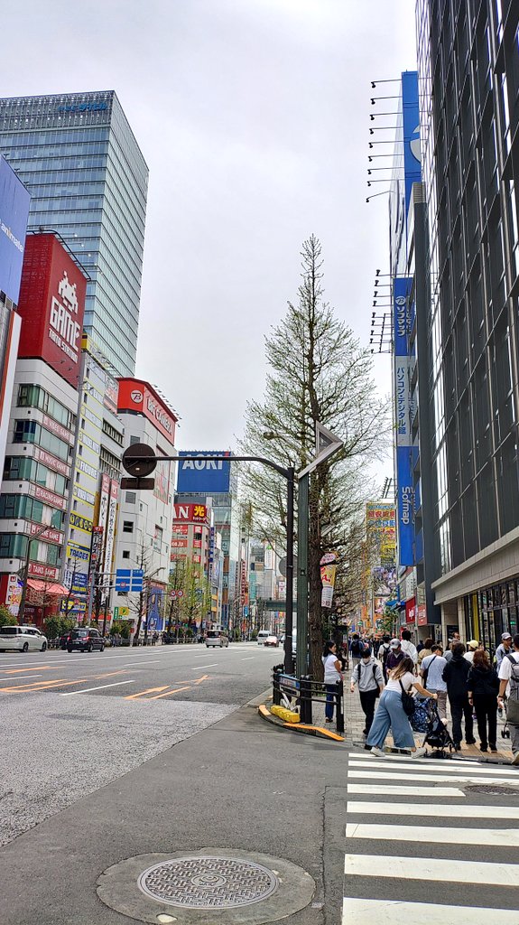 モナカ tweet media