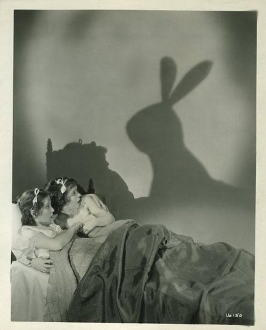 The Silver Screen Surfer tweet media