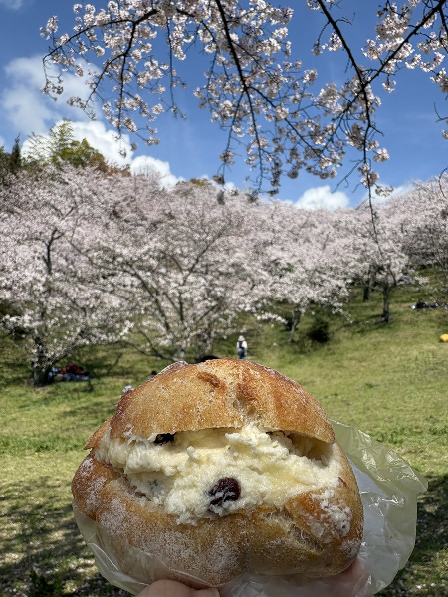 なあち tweet media