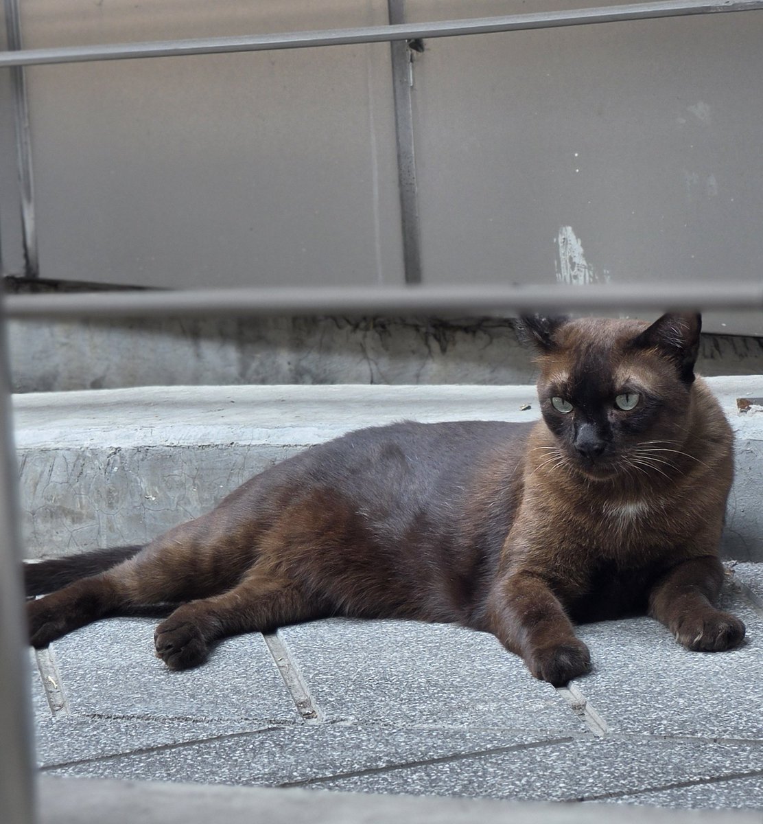 คุนแม่น้อมปอ 🐻✨️🫪 tweet media