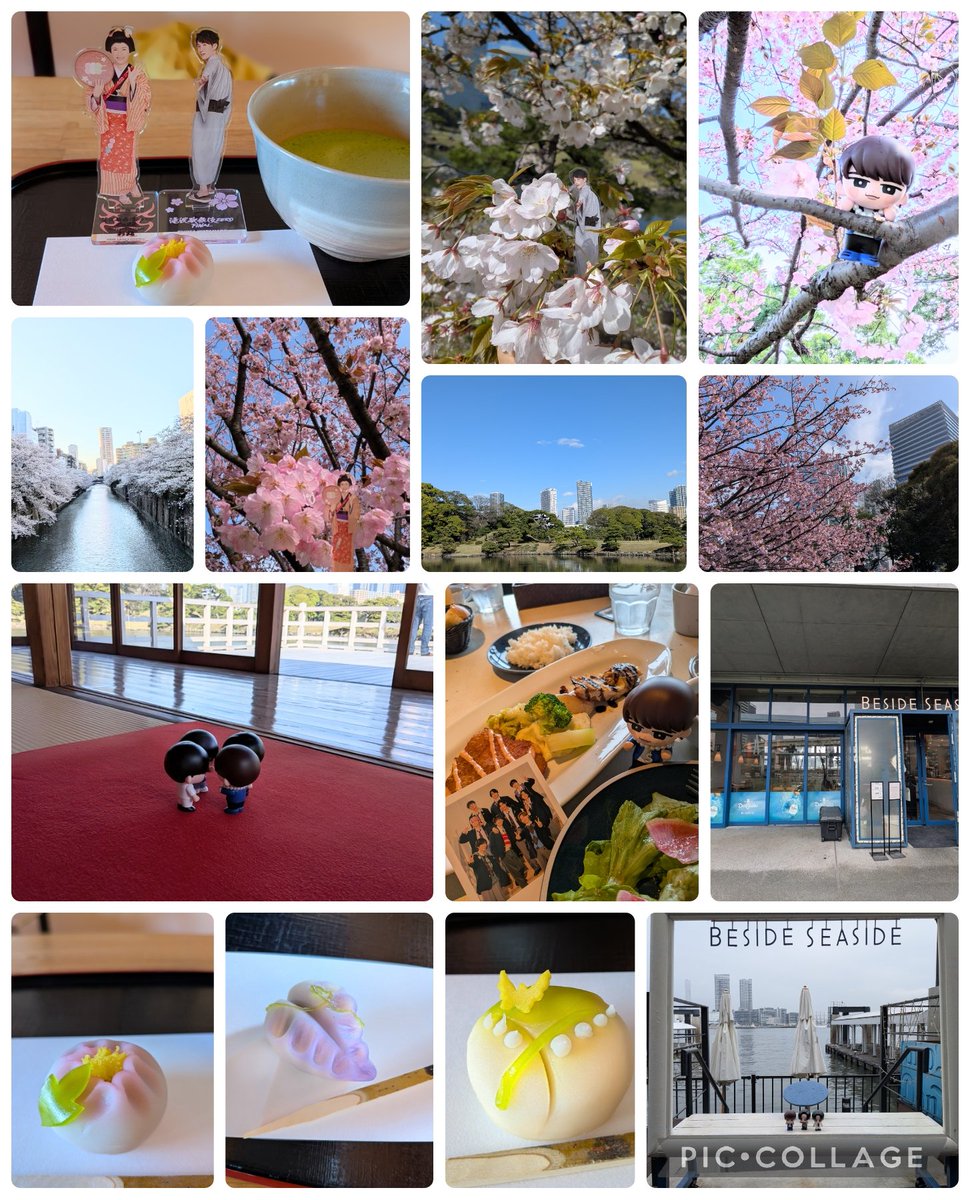 snow_life_shopi's tweet photo. 🌸間に合いました
#BESIDESEASIDE
#浜離宮
#目黒川
#桜は散るのではなく舞うものです https://t.co/rHfSIqaA0t