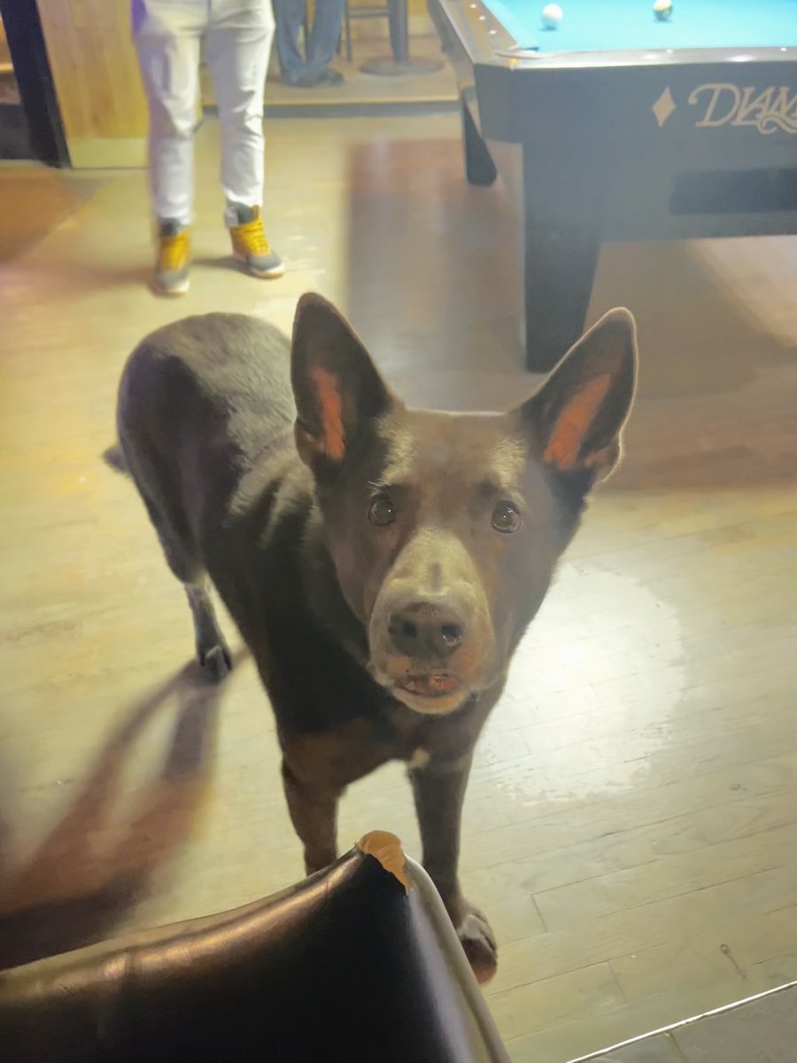 Tony Hawk’s Post Maker tweet media