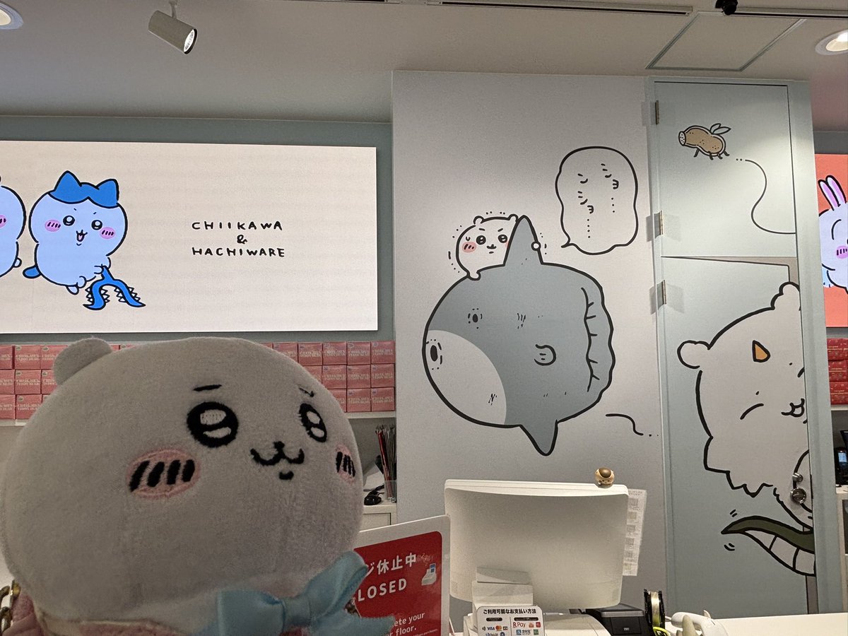 NAO104🙂フッ軽ちい活家(ᵔᴥᵔ) tweet media