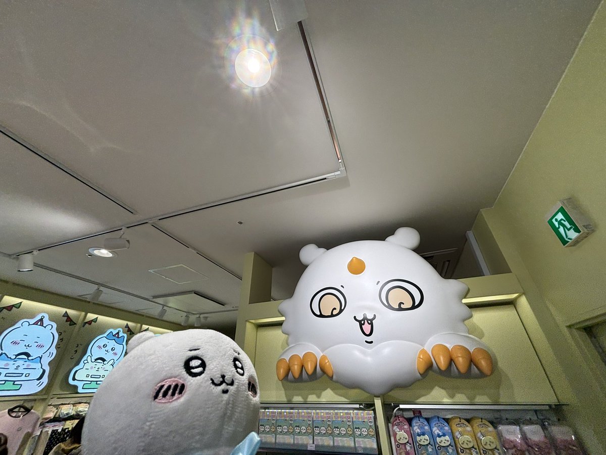 NAO104🙂フッ軽ちい活家(ᵔᴥᵔ) tweet media