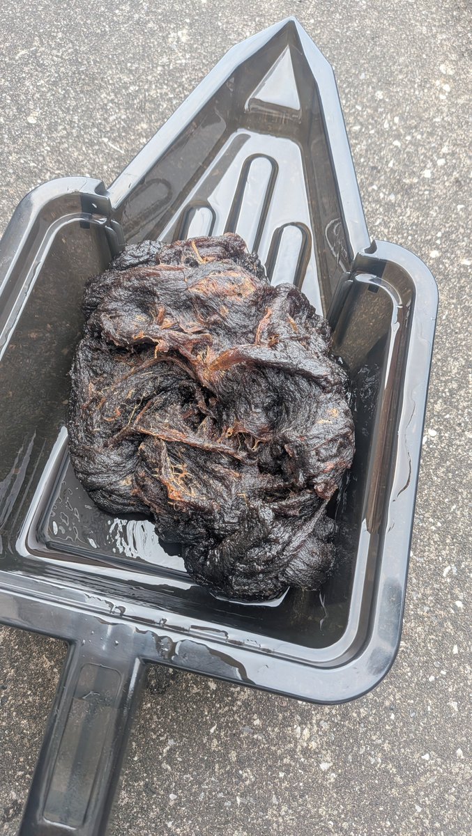 けいすら tweet media