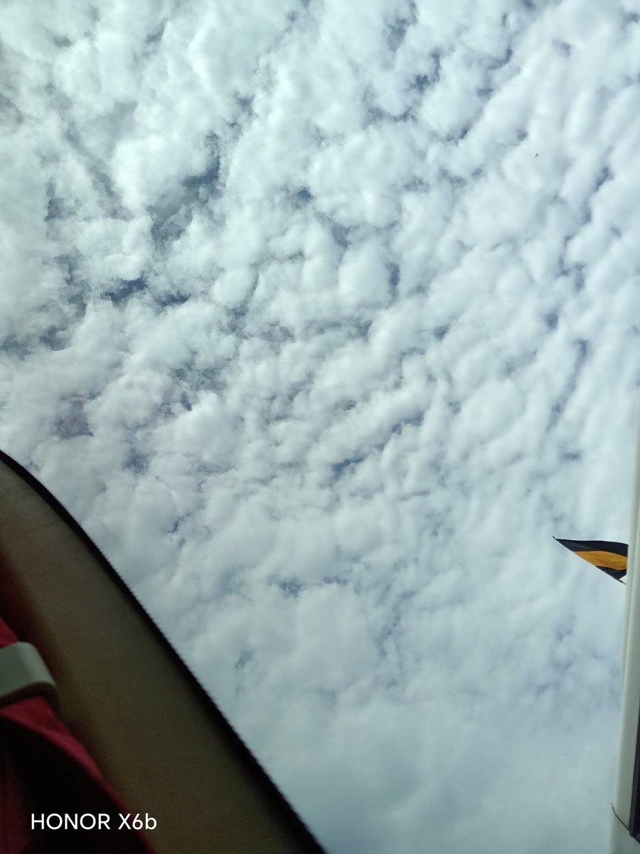 🎀 Ĵαηuu 🎀 tweet media