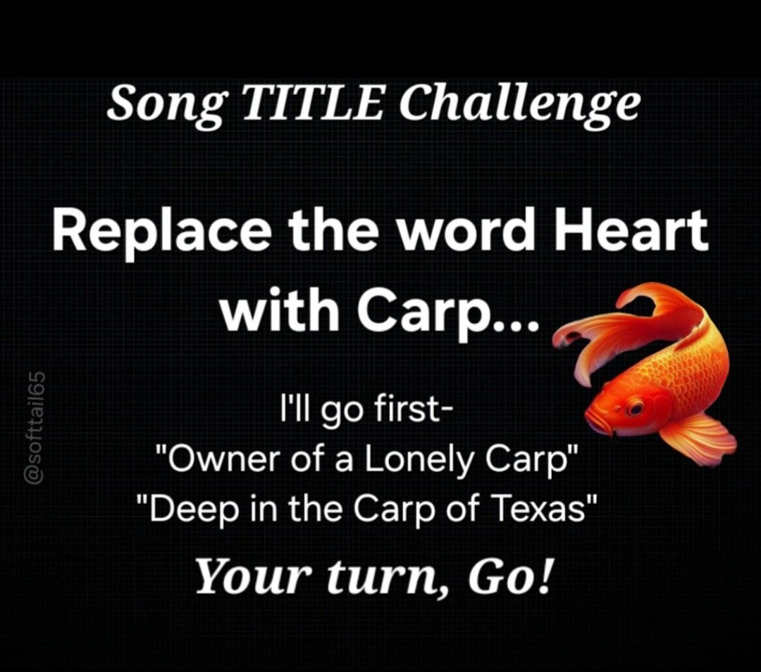 Monica 💙🌻🏳️‍🌈 tweet media