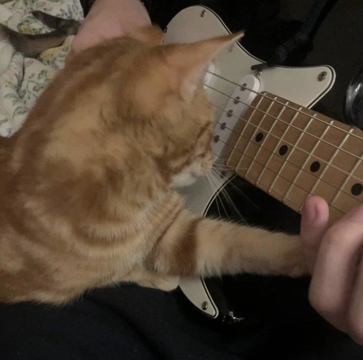 isabolo frutinha dançante⁷ 🐺 tweet media