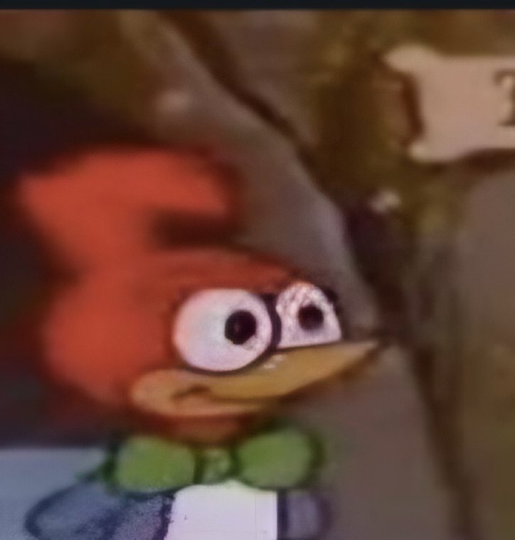 سنقل ماريج tweet media