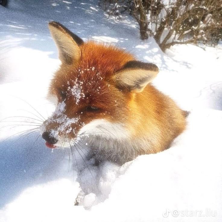 baybie💕 tweet media