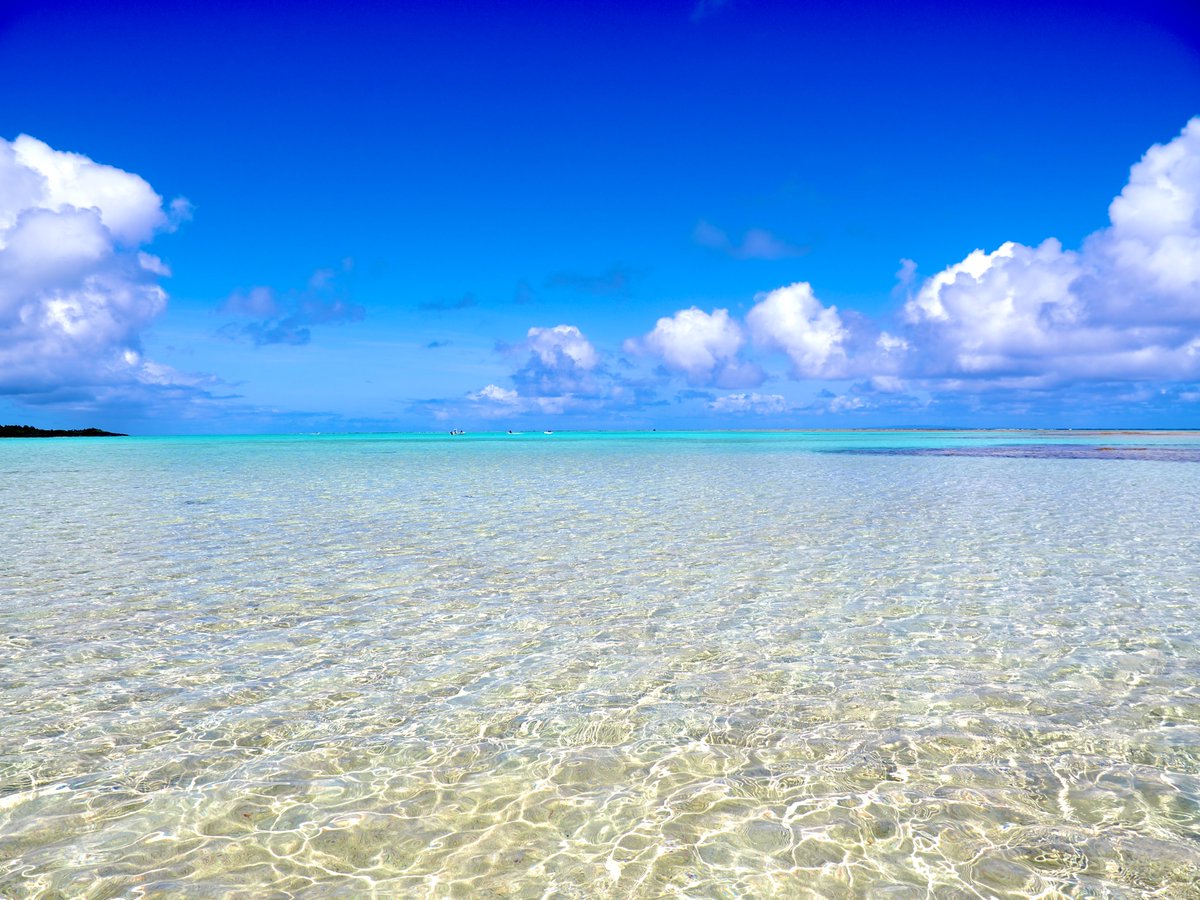 Nature Sounds Japan tweet media