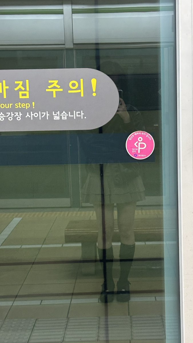 벚꽃 구경 간다..........