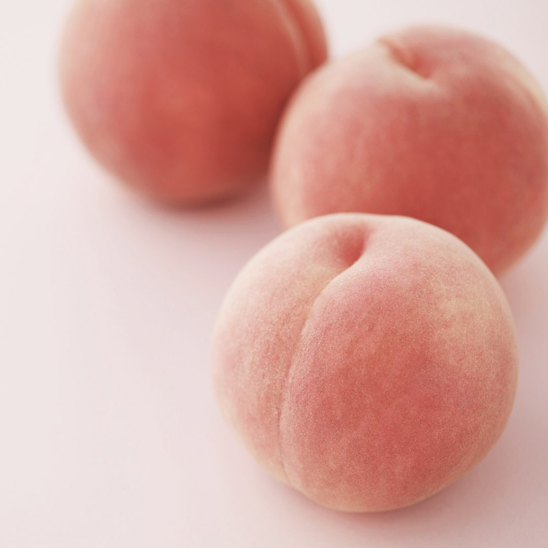 shabon《公式》 tweet media