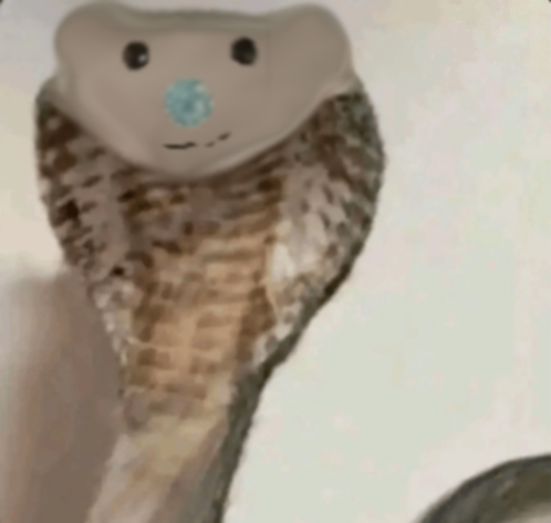 #bearroblox #bearalpha #bearstar