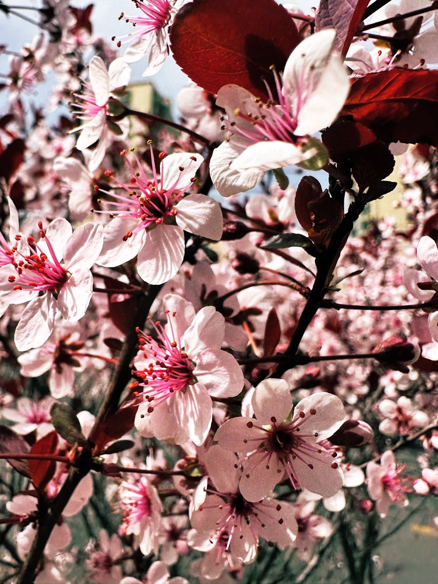 David Andrew（🇨🇳✨ Urban Life Noticer 👀📸） tweet media