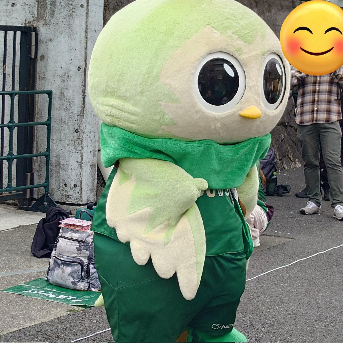 🎌KOJIフットボール⚽ tweet media