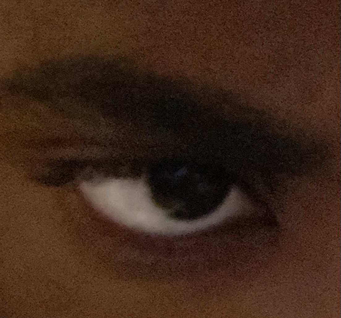 Quiver 𓆣 Moth tweet media