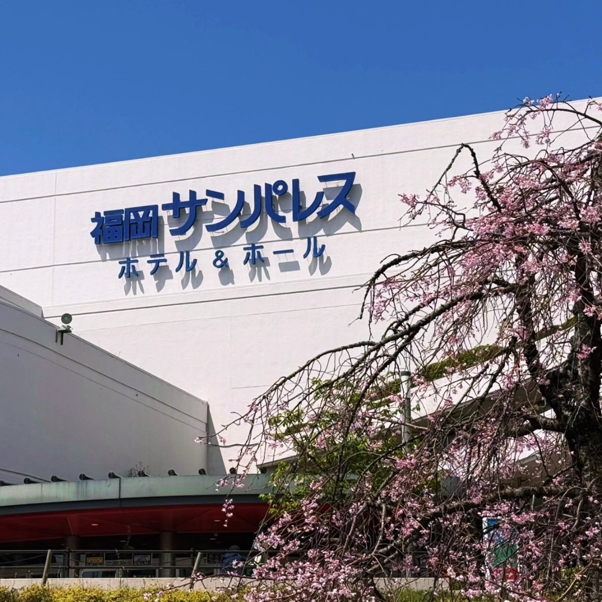 GACKTunofficial's tweet image. 【GACKT LAST SONGS 2026 feat. K】
本日4/5(日)は福岡公演！
■会場 福岡サンパレスホテル＆ホール
■グッズ販売13:00頃～
■当日券・アップグレード受付15:00〜
■開場16:00
■開演17:00
まだ桜も咲いている福岡サンパレス！
天気も良くて絶好のLIVE日和です！
#GACKT
#K
#LASTSONGS
#LASTSONGS2026