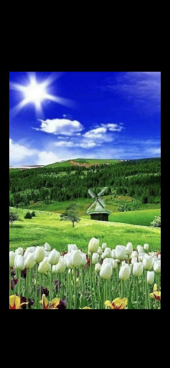 الصقر tweet media