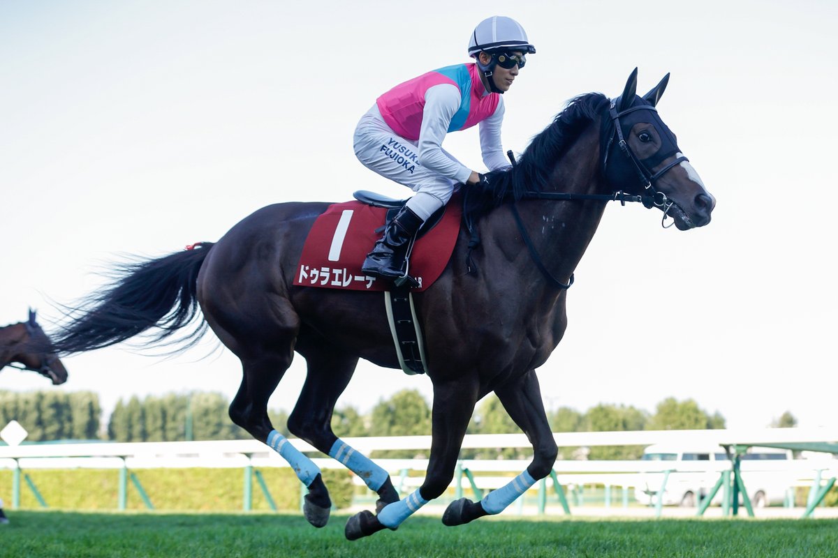 netkeiba tweet media