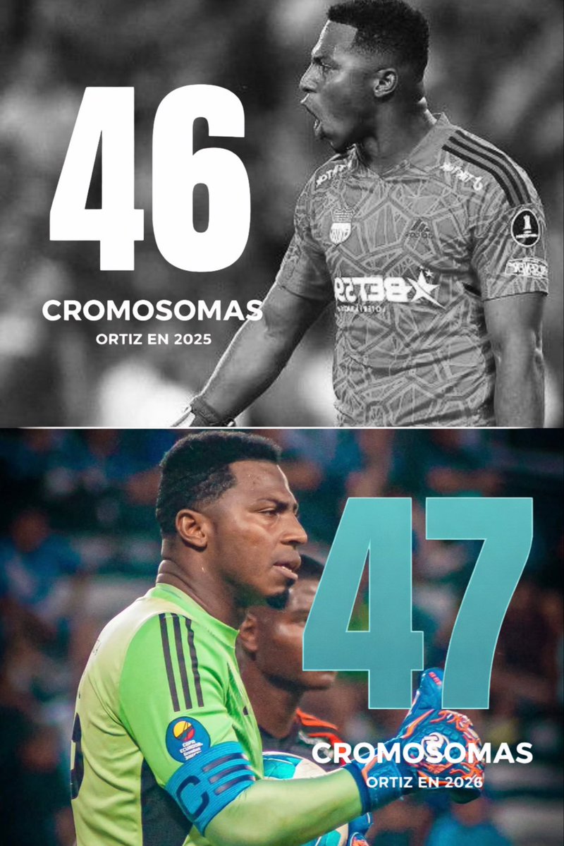 🧬🔵 || LA EVOLUCIÓN DE PEDRO ORTIZ  

⚡️ 2025 --> 2026
