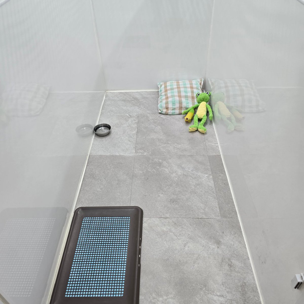 どんあす tweet media