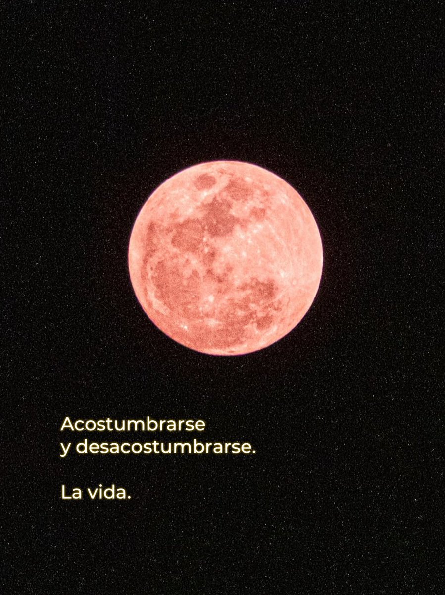 Bacchus 𓄂𓆃 ♛♜♞☥☉ tweet media