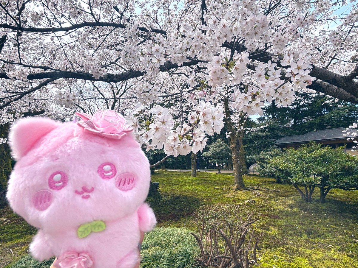 みぃ🍯 tweet media