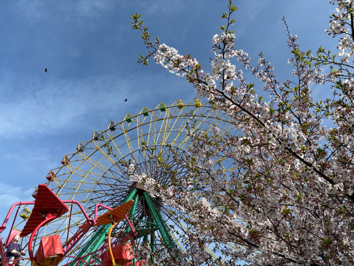 AutoMirai華蔵寺遊園地【公式】（伊勢崎市華蔵寺公園遊園地