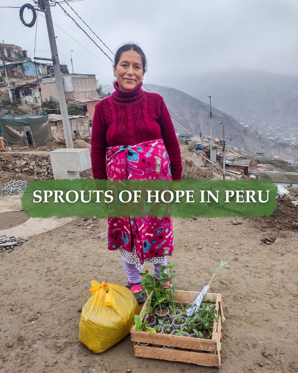 Samaritans Purse CAN tweet media