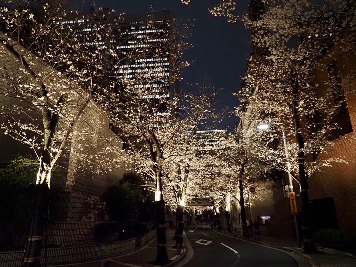 ロプロス tweet media