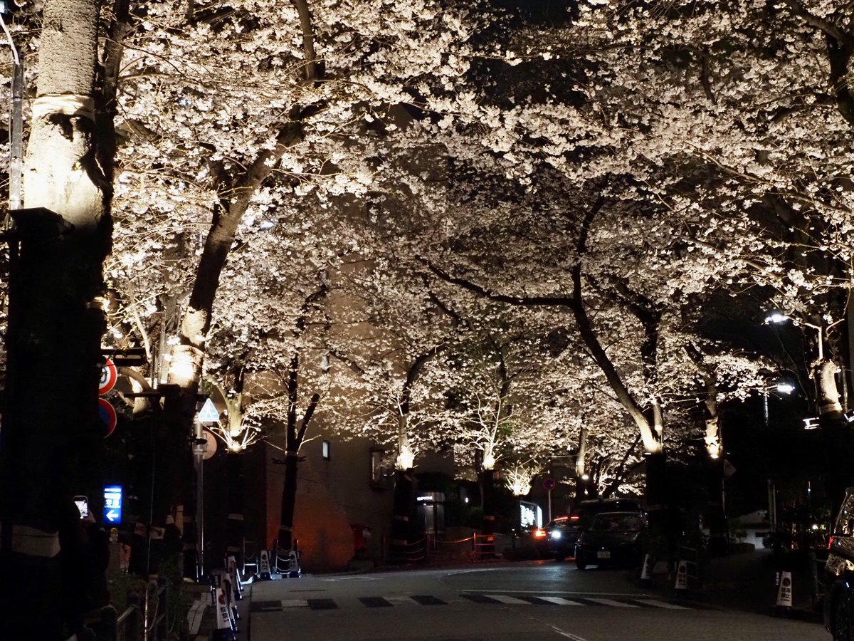 ロプロス tweet media