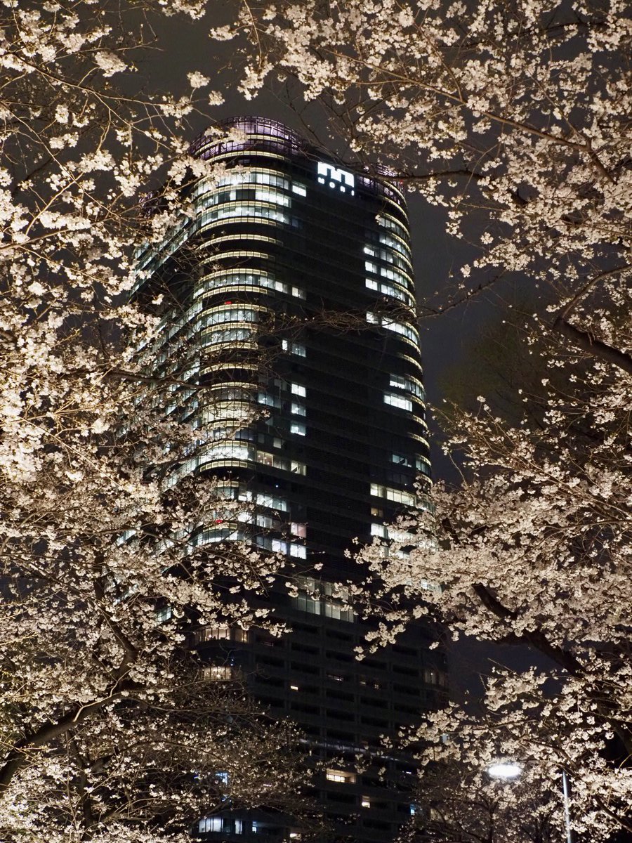 ロプロス tweet media