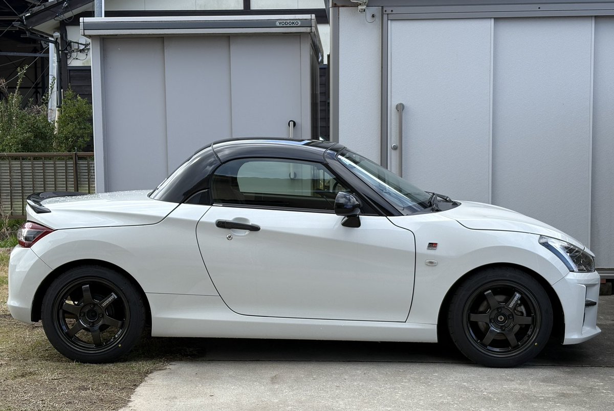 GR白兎 tweet media