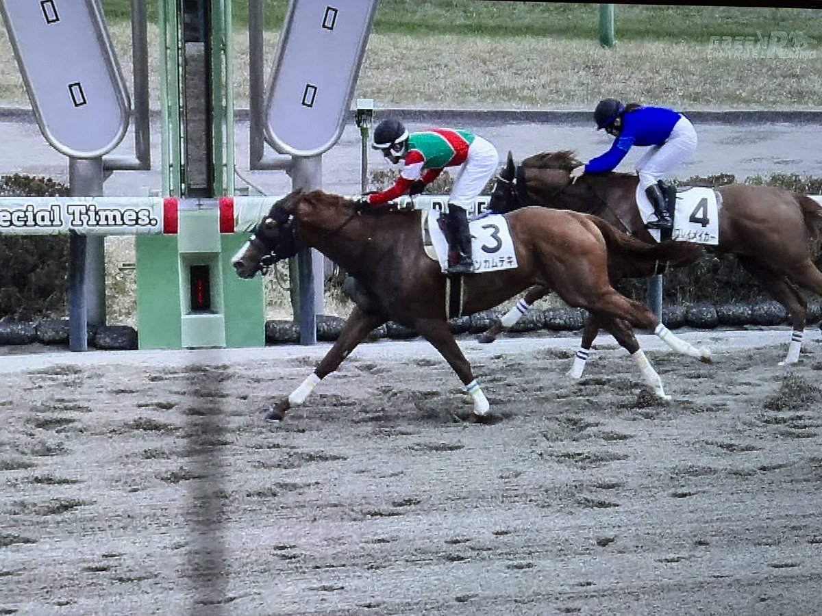 タカズミ tweet media