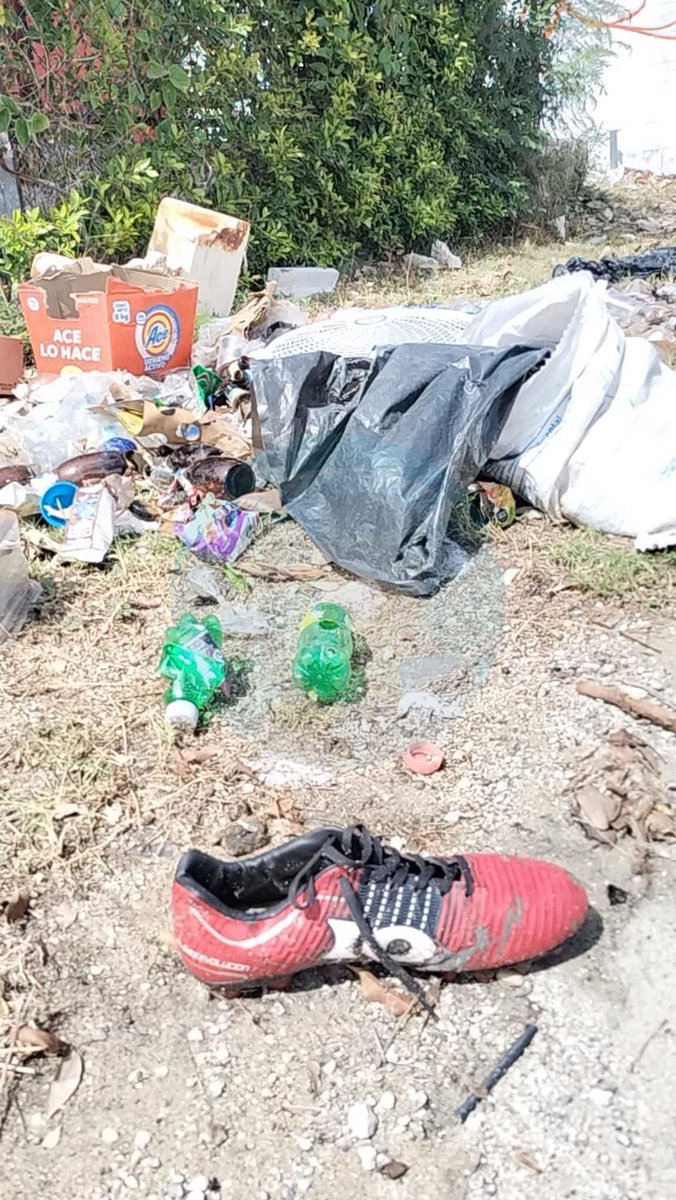 Vigia Ciudadano tweet media