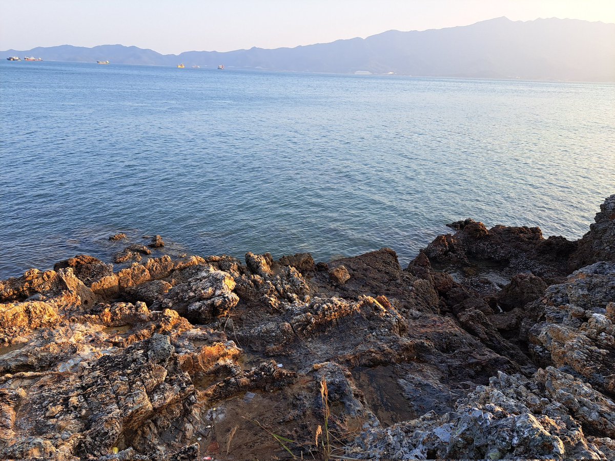 赫尔辛基的猫 🇫🇮🇪🇪 tweet media