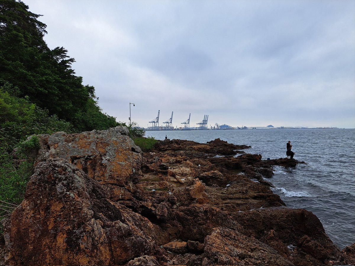 赫尔辛基的猫 🇫🇮🇪🇪 tweet media