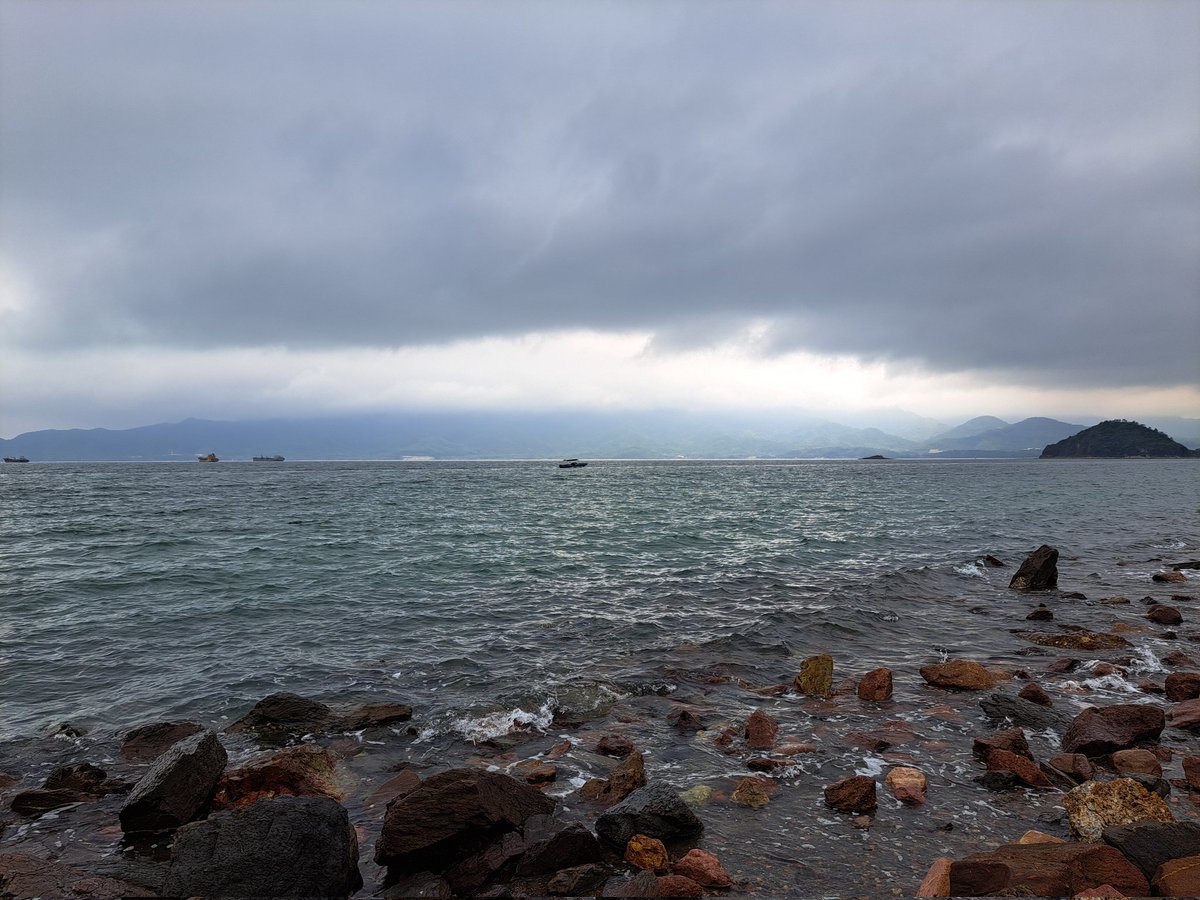 赫尔辛基的猫 🇫🇮🇪🇪 tweet media