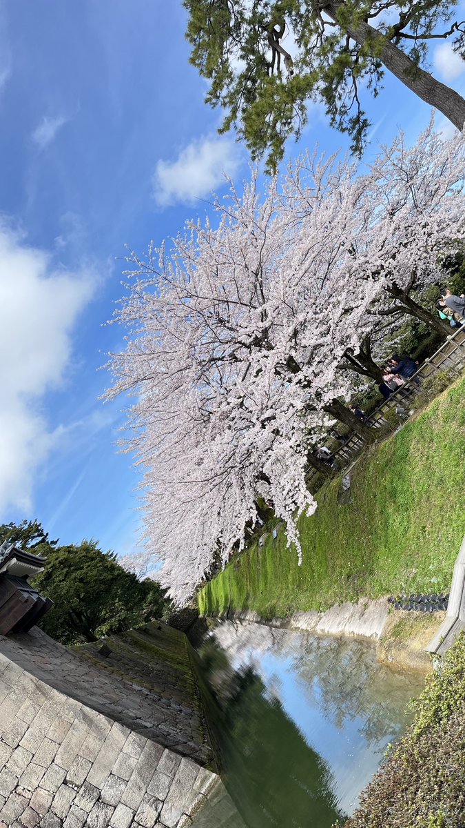 おむたま☁️ tweet media