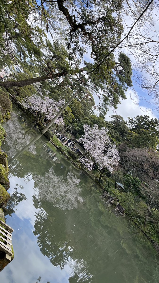 おむたま☁️ tweet media