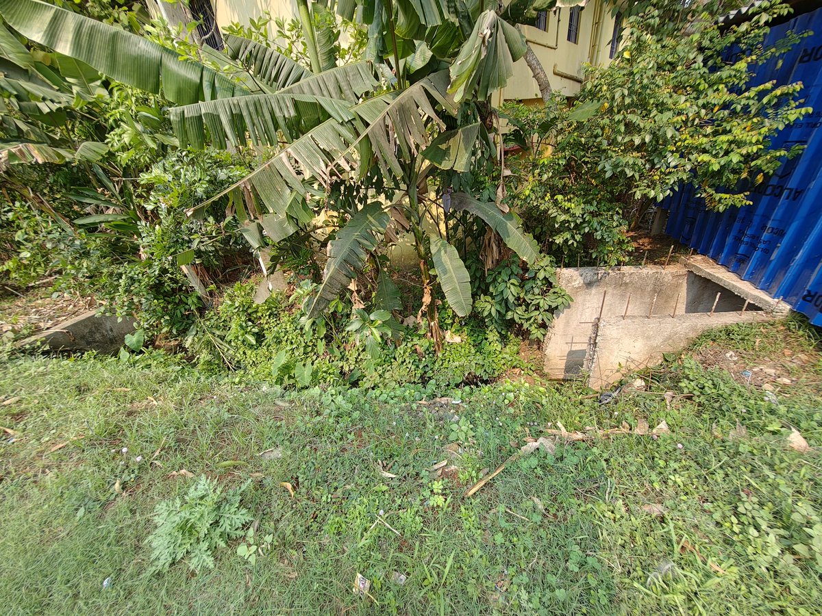 Panda3Gopal's tweet photo. @PWD_Odisha Drain construction work in Deauli, Basudevpur (Bhadrak, 756125) has been stopped for over 2 years. Residents are facing waterlogging, mosquitoes, bad smell, and poor road conditions.

Kindly requested, Odisha to resume and complete the work urgently.

@PWD_Odisha @DM_Bhadrak https://t.co/yA0gALlkNv