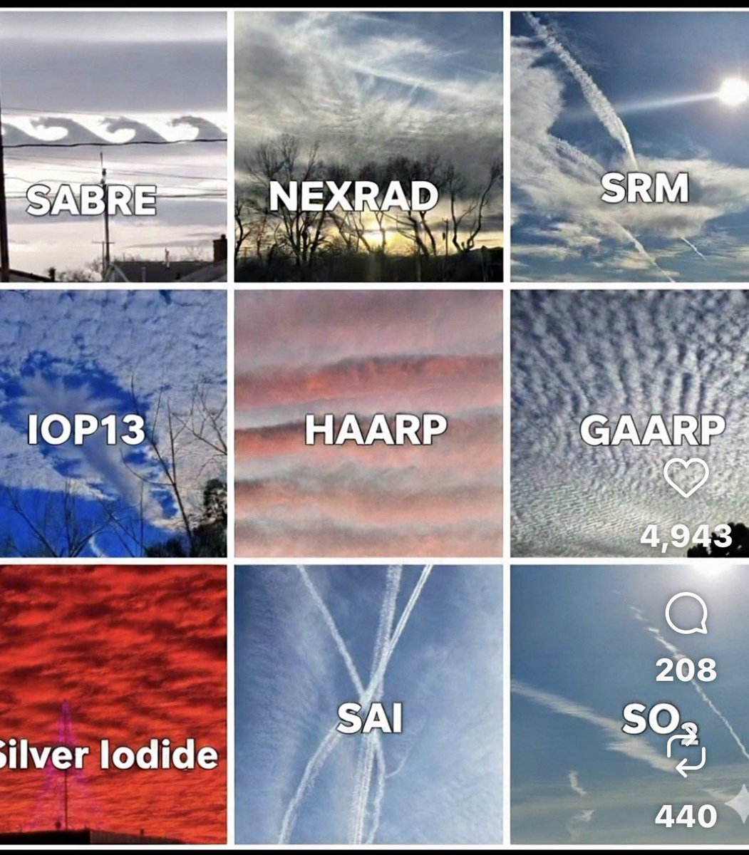 Janet Stephens tweet media